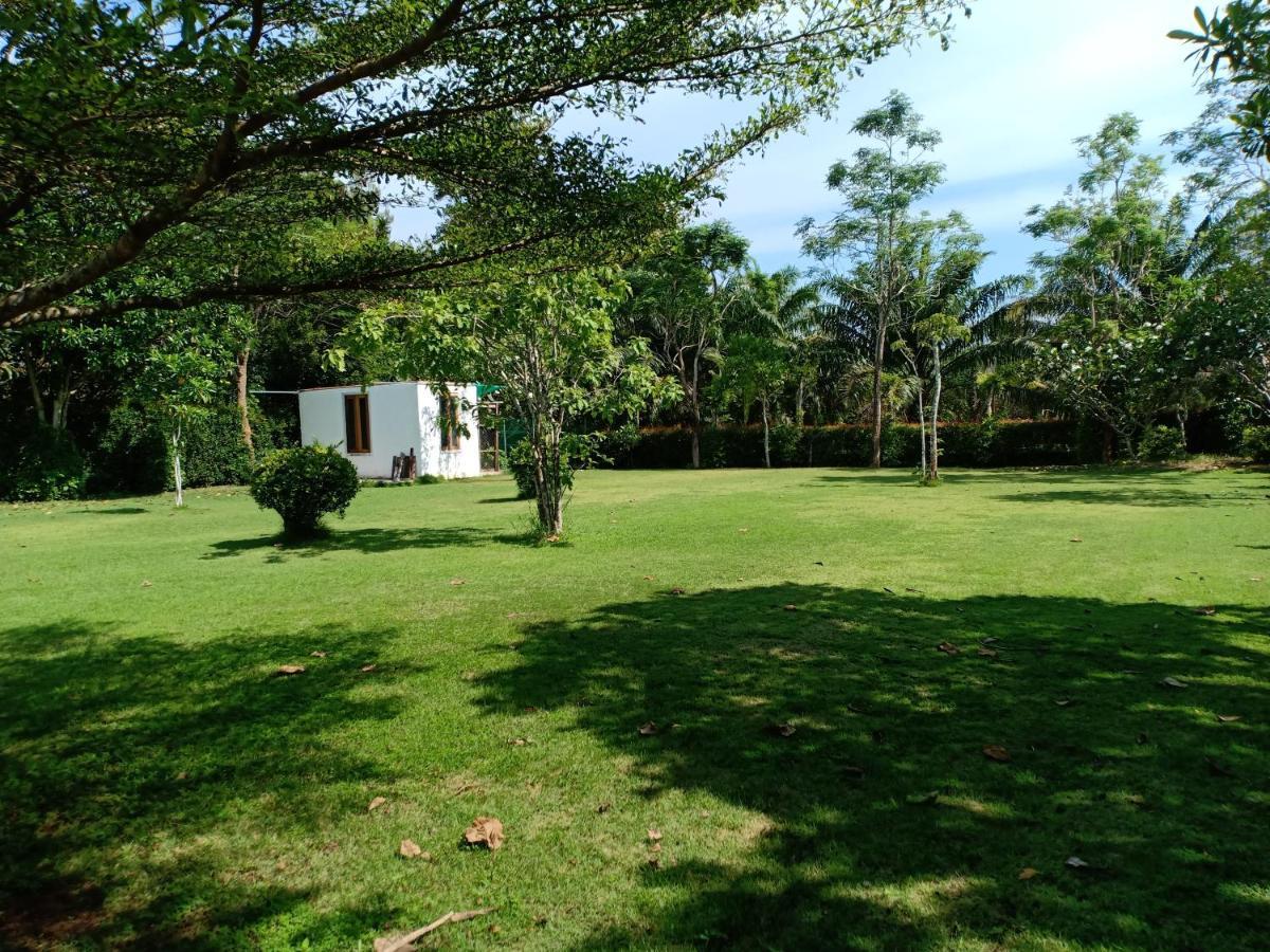 Mem Homestay Chumphon Zewnętrze zdjęcie